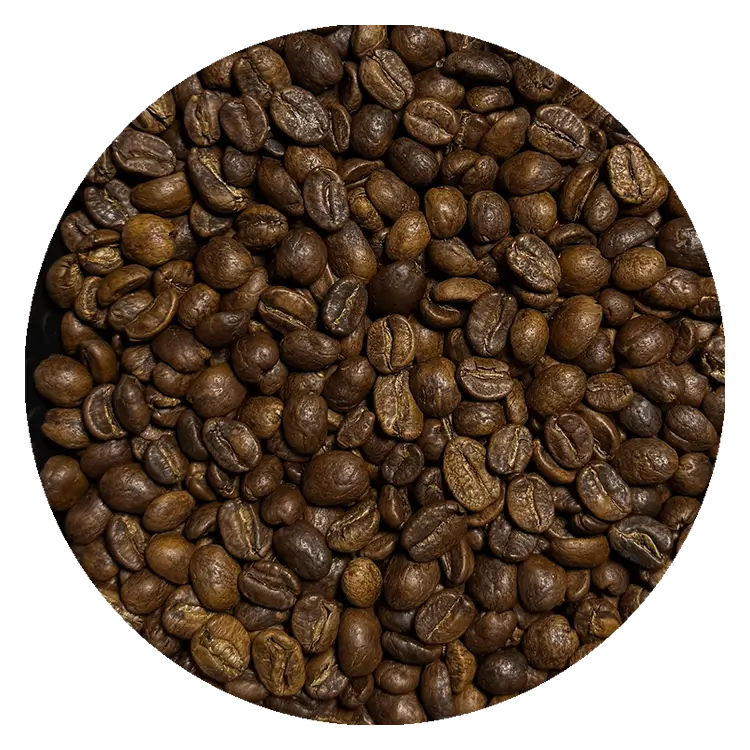 Кава Гондурас Гондурас SHG MC Decaf